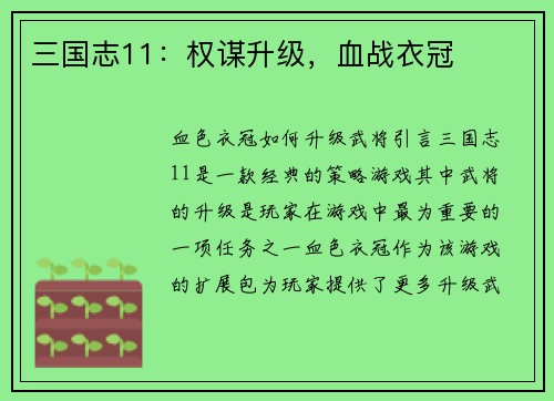 三国志11：权谋升级，血战衣冠